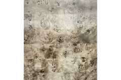 IMG-20240522-WA0010