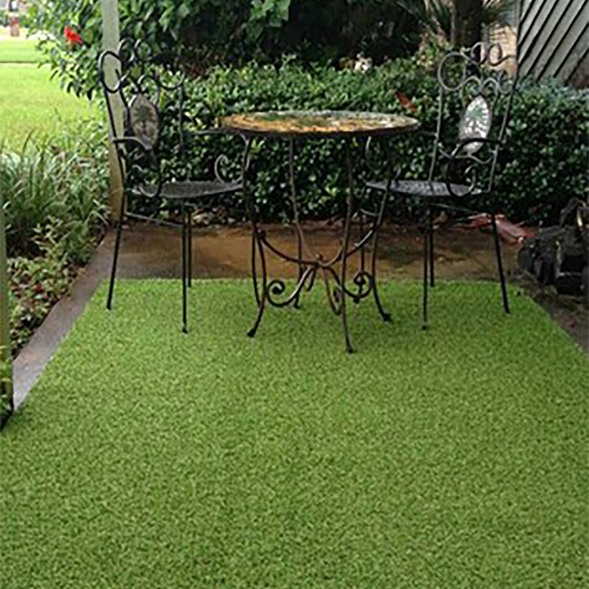 grass